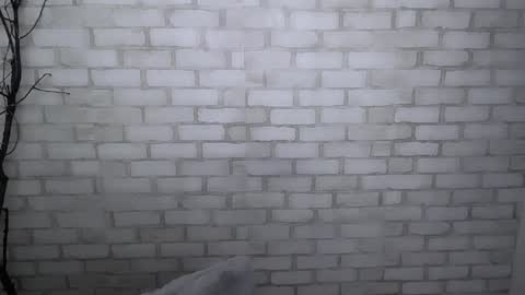 Snapshot of veryveryshygirl chatting on 30, 12, 2024 Ana online show from 30, 12, 2024