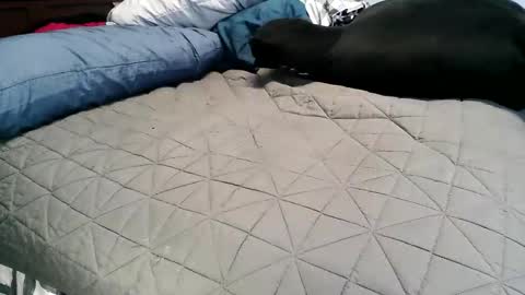 Vexnew online show from 4, 11, 2025