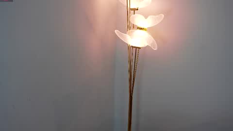 Sophie and Stan  online show from 9, 4, 2026