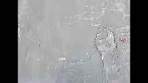 Snapshot of viciouzz1 chatting on 24, 11, 2025 viciouzz1 online show from 24, 11, 2025