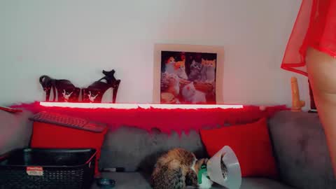 Snapshot of vicky_gill_ chatting on 14, 10, 2025 vicky_gill_ online show from 14, 10, 2025