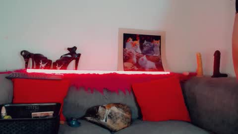 Snapshot of vicky_gill_ chatting on 17, 10, 2025 vicky_gill_ online show from 17, 10, 2025