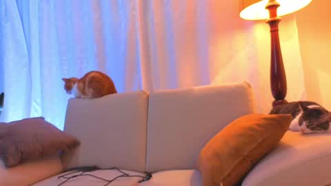 Snapshot of viiolet_collins chatting on 15, 6, 2026 VIOLET online show from 15, 6, 2026