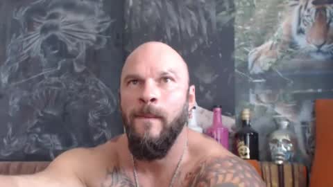 viking online show from 12, 9, 2025