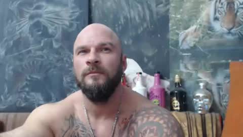 viking online show from 12, 10, 2025