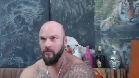 viking online show from 18, 10, 2025