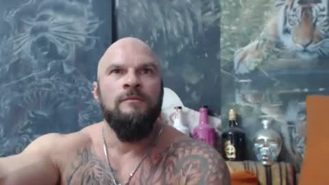 viking online show from 31, 10, 2025