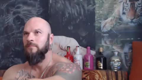 viking online show from 4, 11, 2025