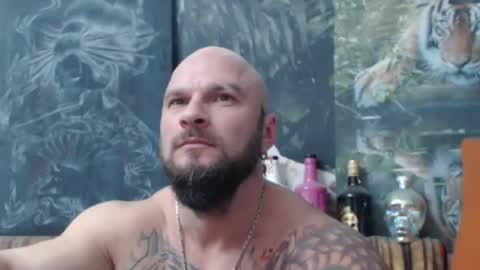 viking online show from 8, 11, 2025