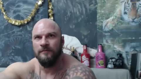 viking online show from 25, 2, 2026