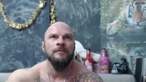 viking online show from 27, 2, 2026