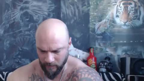 viking online show from 12, 4, 2026