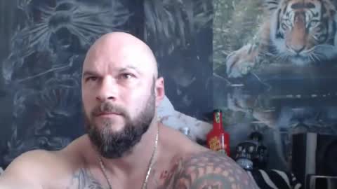 viking online show from 20, 4, 2026