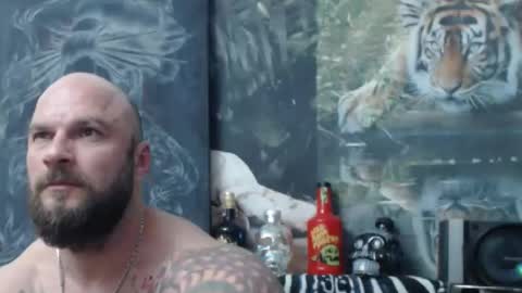 viking online show from 22, 4, 2026