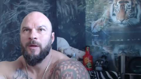 viking online show from 23, 4, 2026