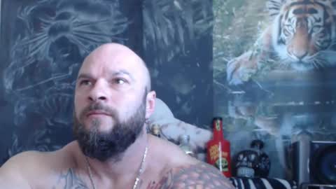 Snapshot of viking_me chatting on 26, 4, 2026 viking online show from 26, 4, 2026