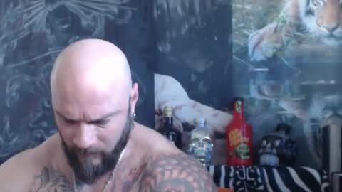 Snapshot of viking_me chatting on 28, 4, 2026 viking online show from 28, 4, 2026