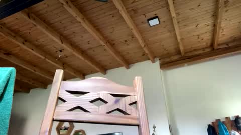 Snapshot of vikingo_arg chatting on 23, 2, 2026 Viking Independent model online show from 23, 2, 2026