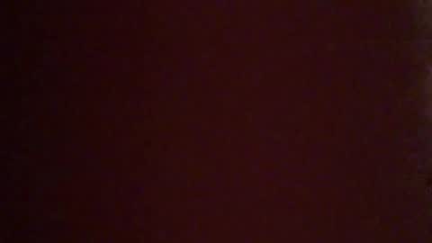 Snapshot of vilnus0 chatting on 15, 1, 2026 vilnus0 online show from 15, 1, 2026