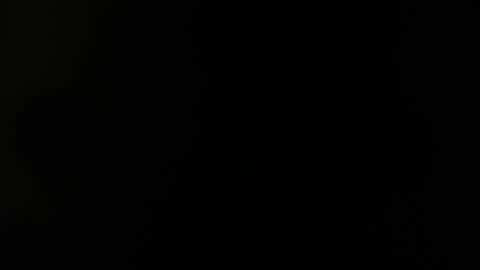 Daniela online show from 6, 3, 2026