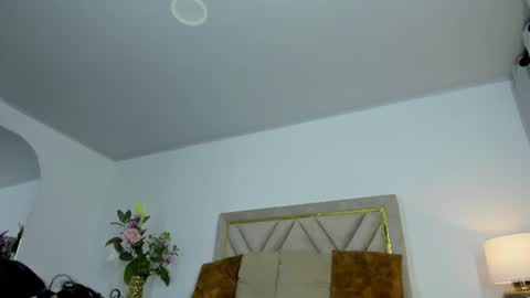Snapshot of violet_queen2 chatting on 11, 6, 2026 Mary online show from 11, 6, 2026