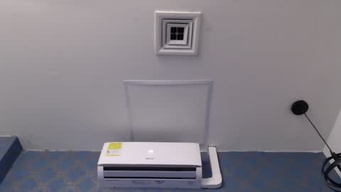 Violeta  online show from 8, 12, 2024