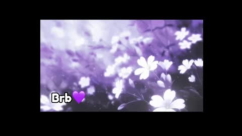 Violeta online show from 8, 3, 2025