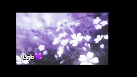 Violeta online show from 11, 9, 2025