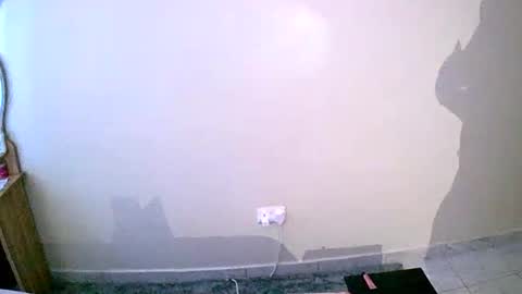 Your Virtual Wife online show from 19, 1, 2025