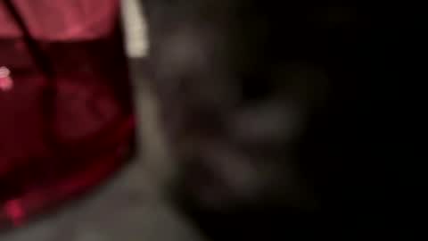 John online show from 12, 1, 2025