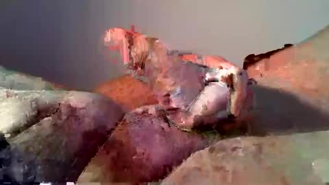 Snapshot of vukavuka99 chatting on 16, 12, 2024 vukavuka99 online show from 16, 12, 2024