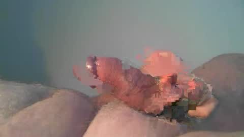 Snapshot of vukavuka99 chatting on 26, 10, 2025 vukavuka99 online show from 26, 10, 2025