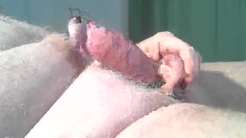 Snapshot of vukavuka99 chatting on 2, 3, 2026 vukavuka99 online show from 2, 3, 2026