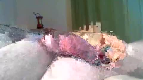 Snapshot of vukavuka99 chatting on 8, 3, 2026 vukavuka99 online show from 8, 3, 2026