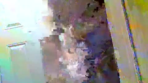 Walter online show from 9, 12, 2024