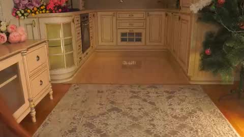 Snapshot of wandabraund chatting on 12, 1, 2026 hello guys im Lilian online show from 12, 1, 2026