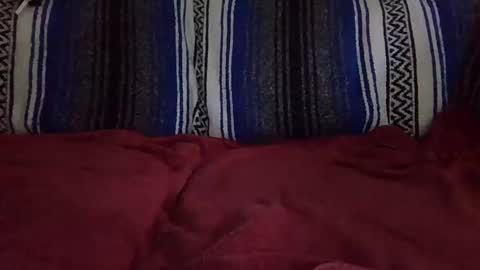 Warishcow online show from 11, 12, 2024