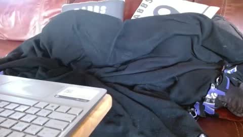 Hereforfun online show from 1, 12, 2024