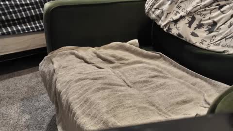 Snapshot of watcher950585 chatting on 3, 1, 2025 Daddy online show from 3, 1, 2025