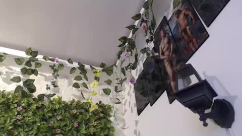 Trixie 3 online show from 29, 1, 2025