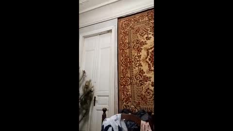 Snapshot of webgirl2 chatting on 26, 2, 2025 Marina online show from 26, 2, 2025