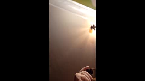 webiran online show from 2, 3, 2026