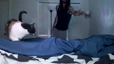 weedwacker43 online show from 26, 12, 2024