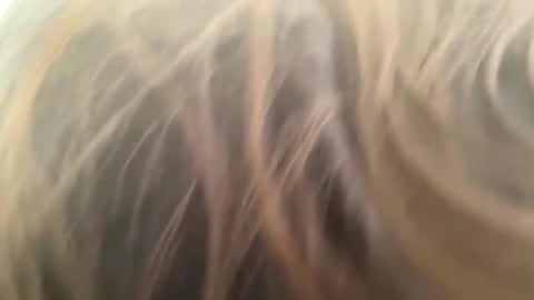 weedwacker43 online show from 1, 3, 2026