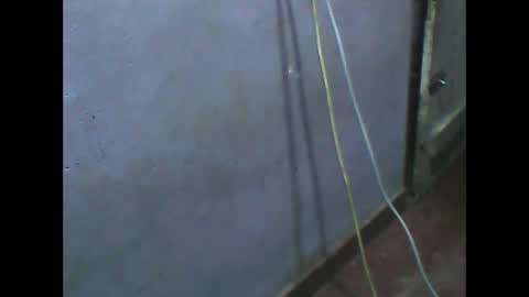 Snapshot of wela123456 chatting on 1, 11, 2025 wela123456 online show from 1, 11, 2025