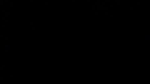 wellingtont online show from 20, 12, 2025