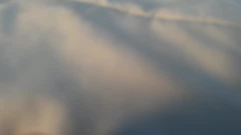 whatever_i_have_to_do online show from 13, 3, 2026