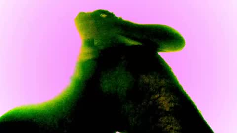 whatsexo online show from 28, 2, 2025