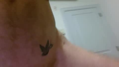 Snapshot of whisky_jam chatting on 28, 11, 2025 whisky_jam online show from 28, 11, 2025