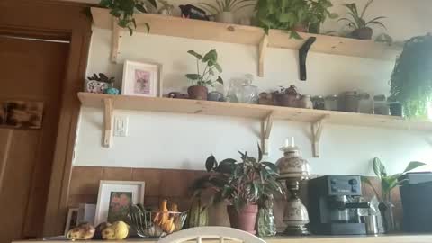 WhiskyLove online show from 4, 11, 2025